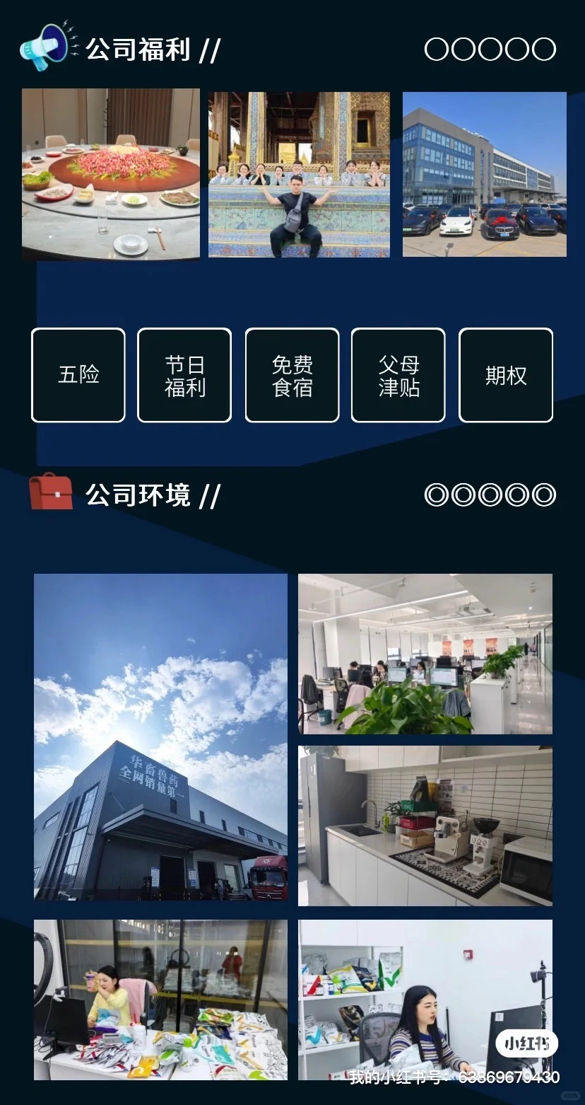 招人啦，来看看呀