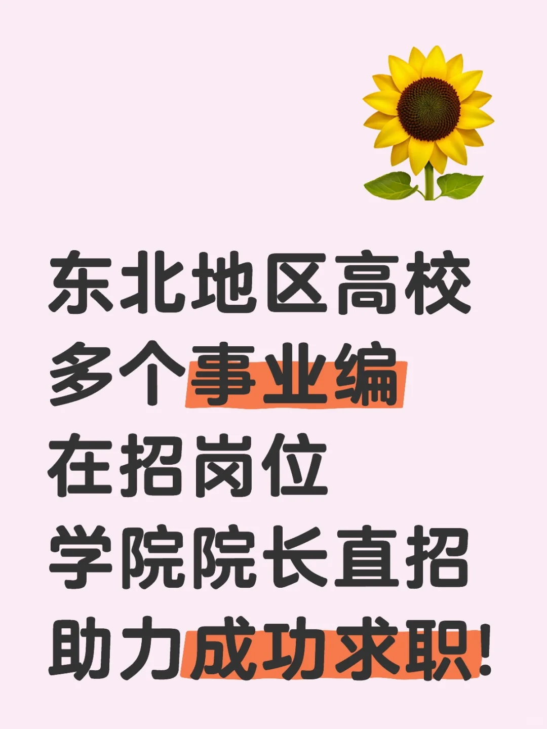 多个高校事业编岗位，院长直招，速速来投！