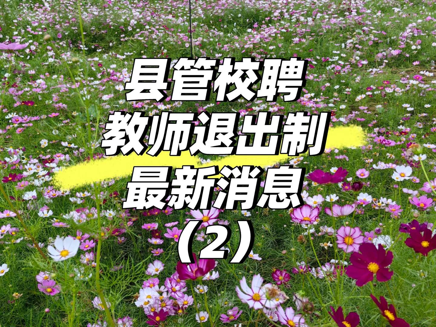 我好害怕