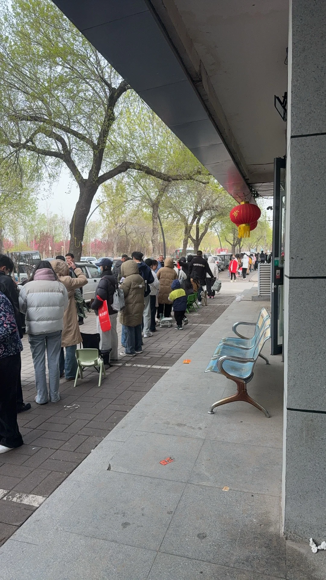 教师招教报名