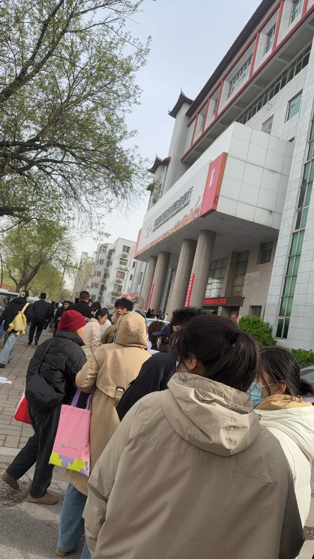 教师招教报名