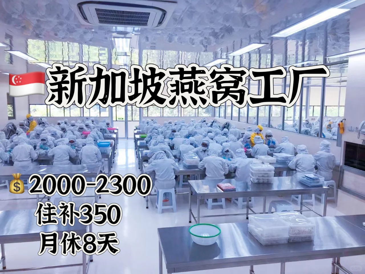 燕窝工厂????月休8天普工