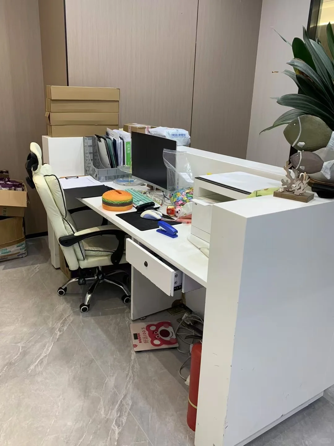 新公司 岗位多 找工作的可以dd我