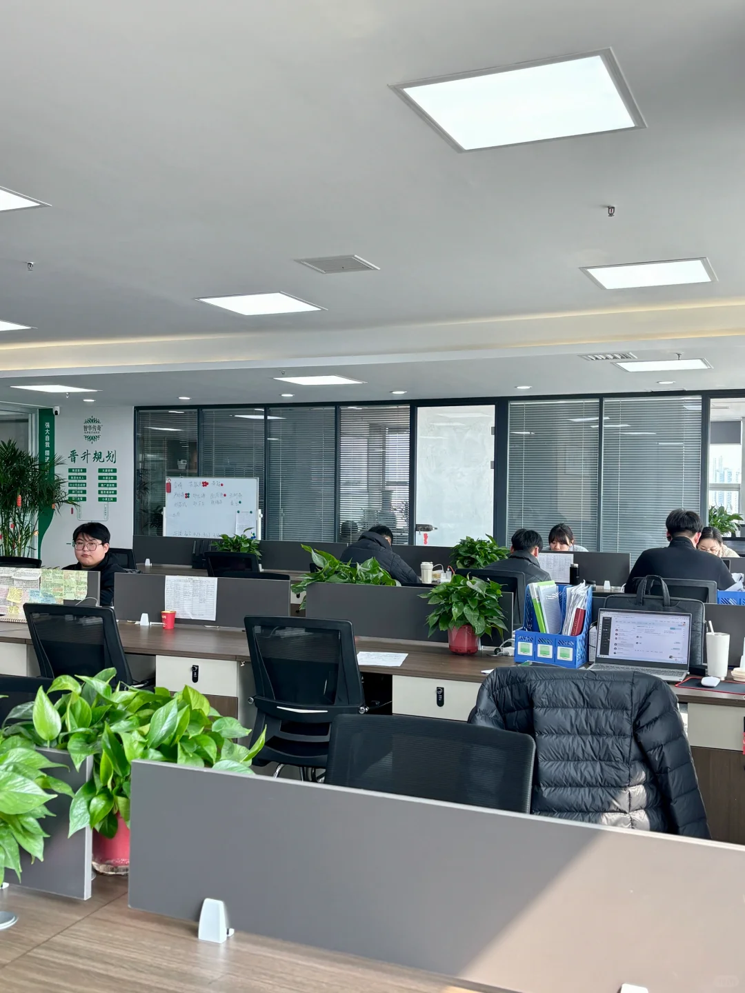 临沂这么难招人吗?，有没有找工作的啊