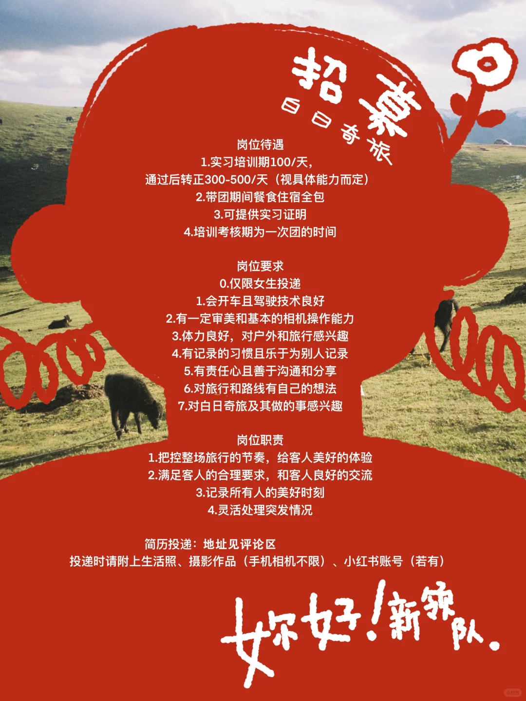 ?work with us｜白日奇旅领队招聘