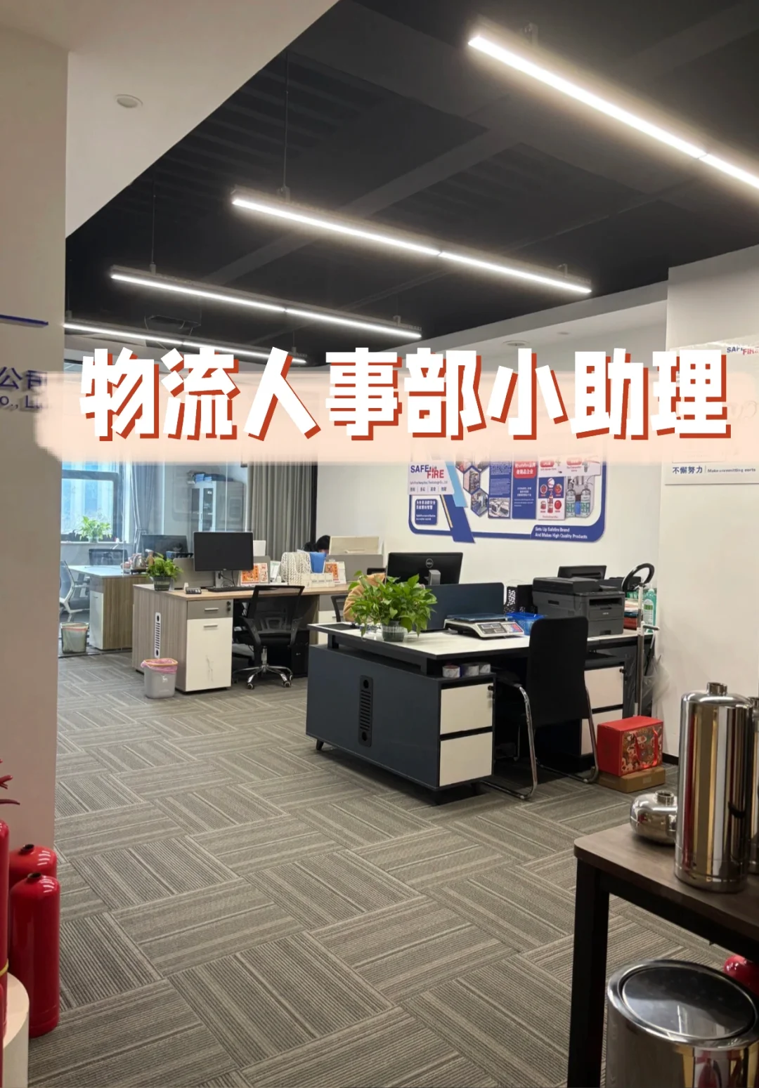 招人啦!兰山物流公司缺个 反内卷先锋