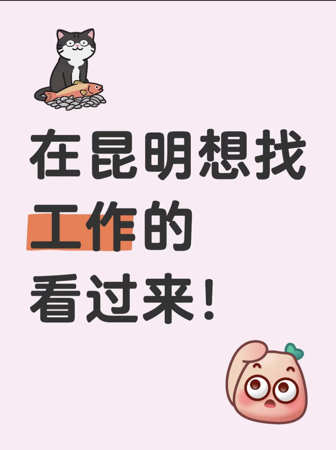 公司直招（限昆明）