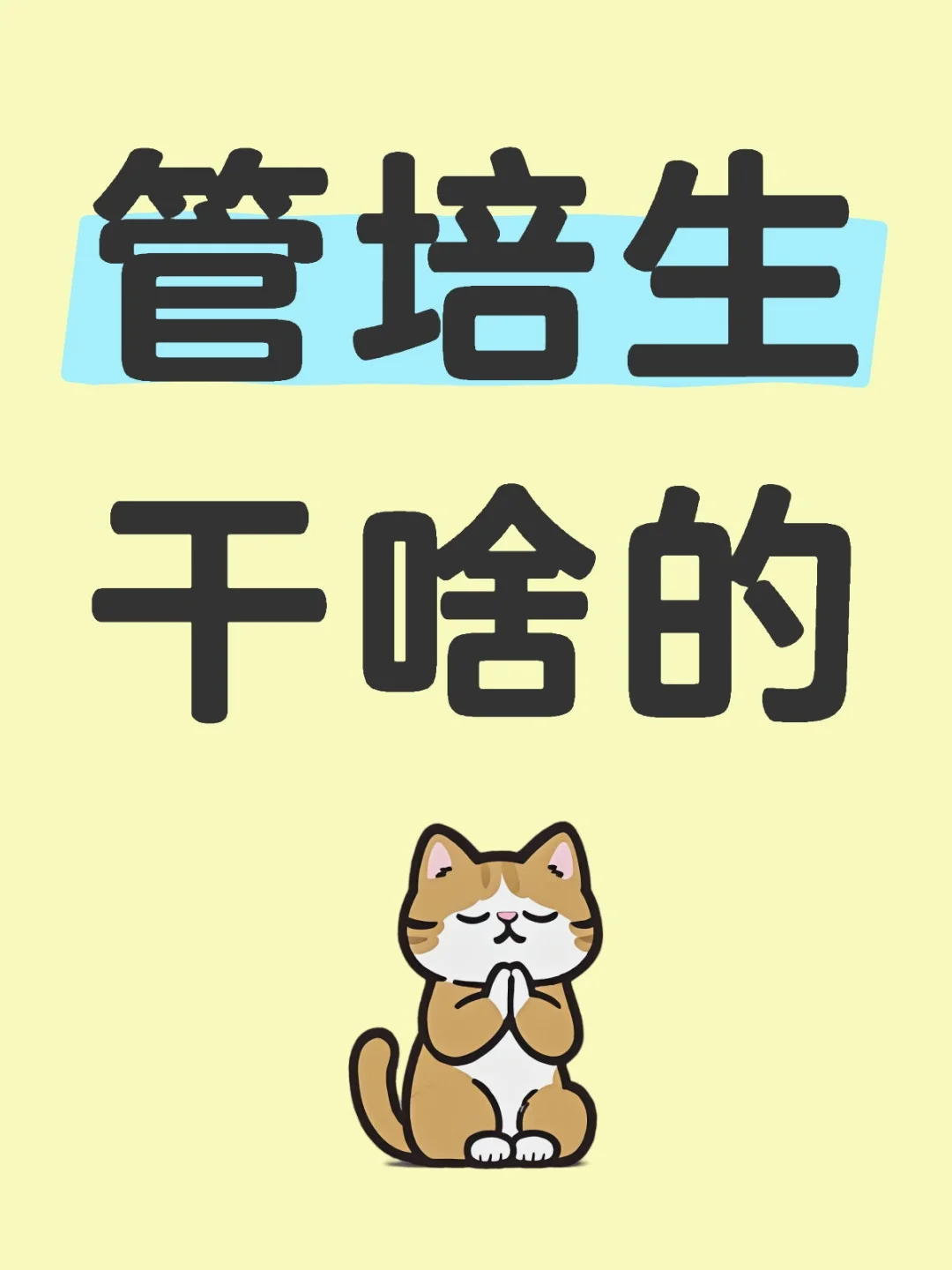管培生究竟是做什么的？