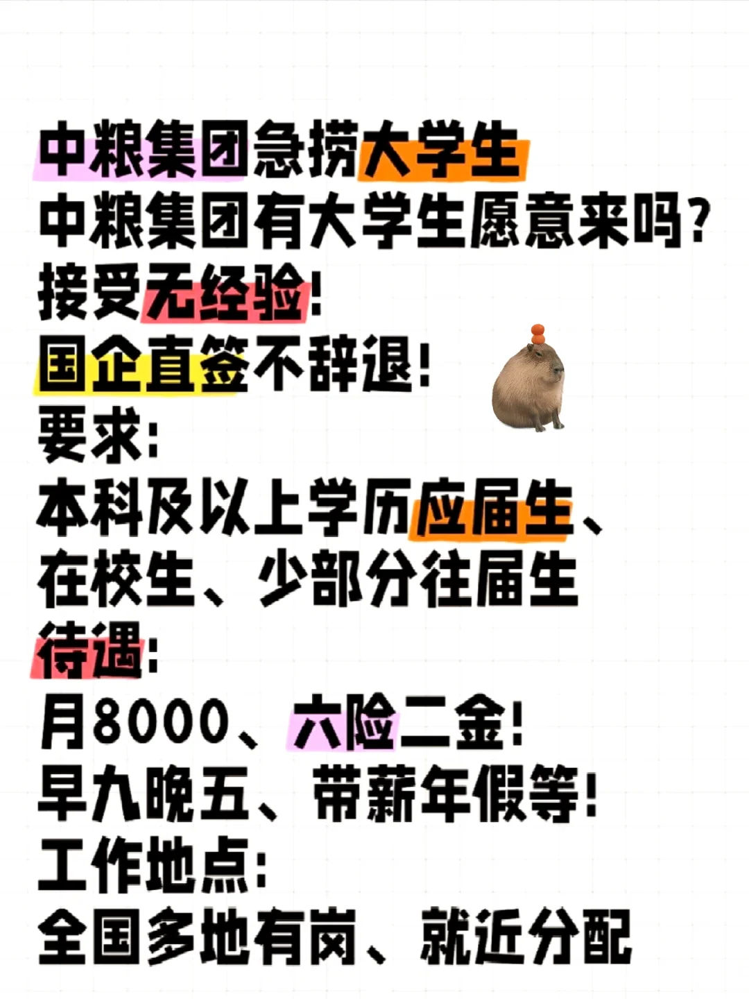 大专生注意了!中海油免笔直签正式！