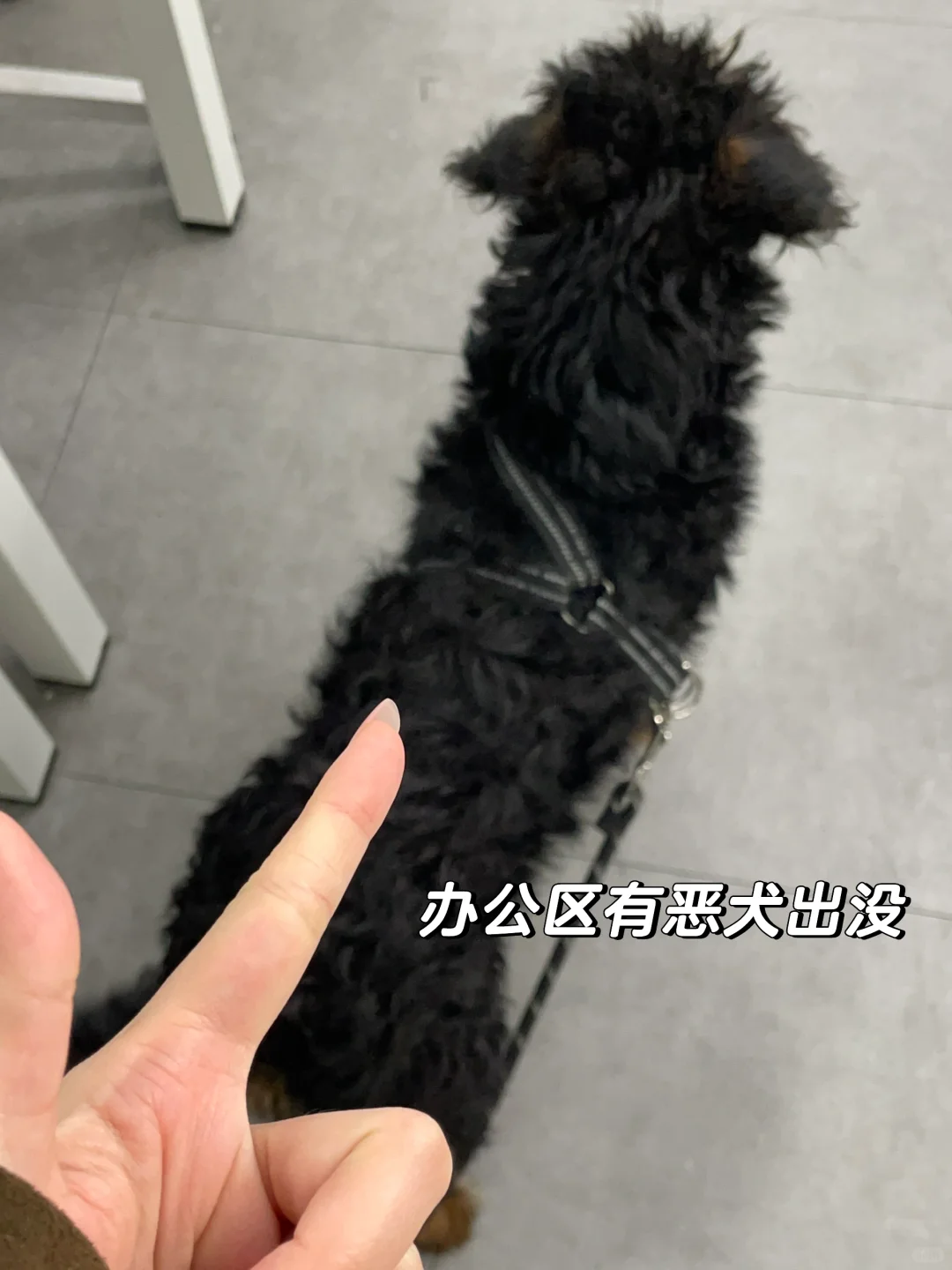 岗位测评｜美妆公司哪个岗位0经验可进？