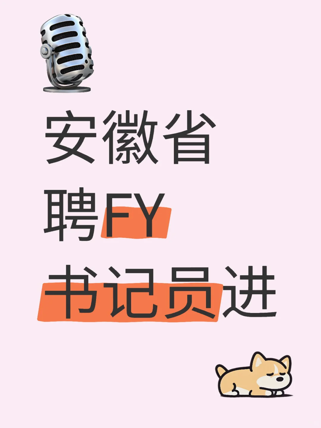 真实评价！！