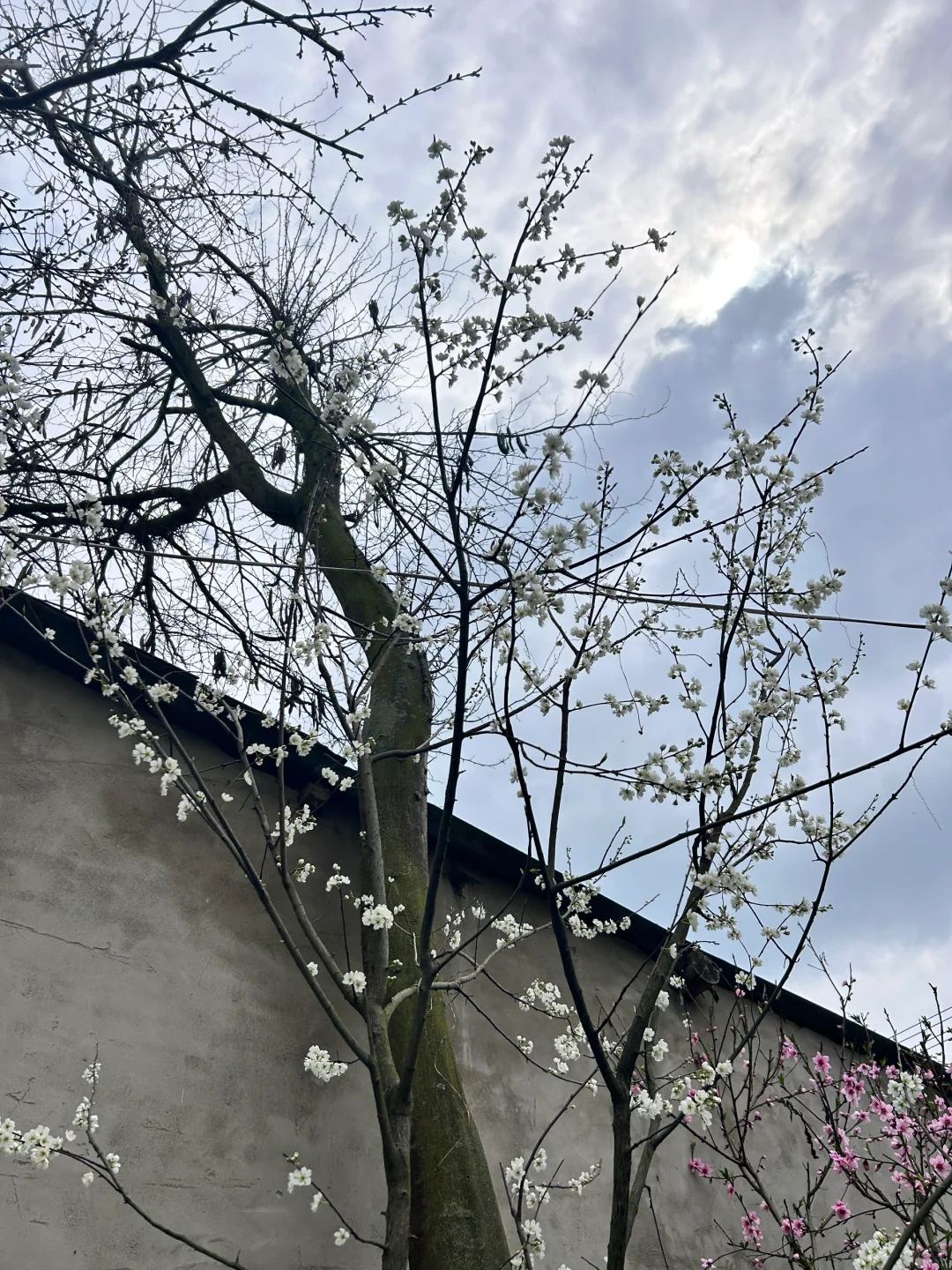 广汉找不到工作