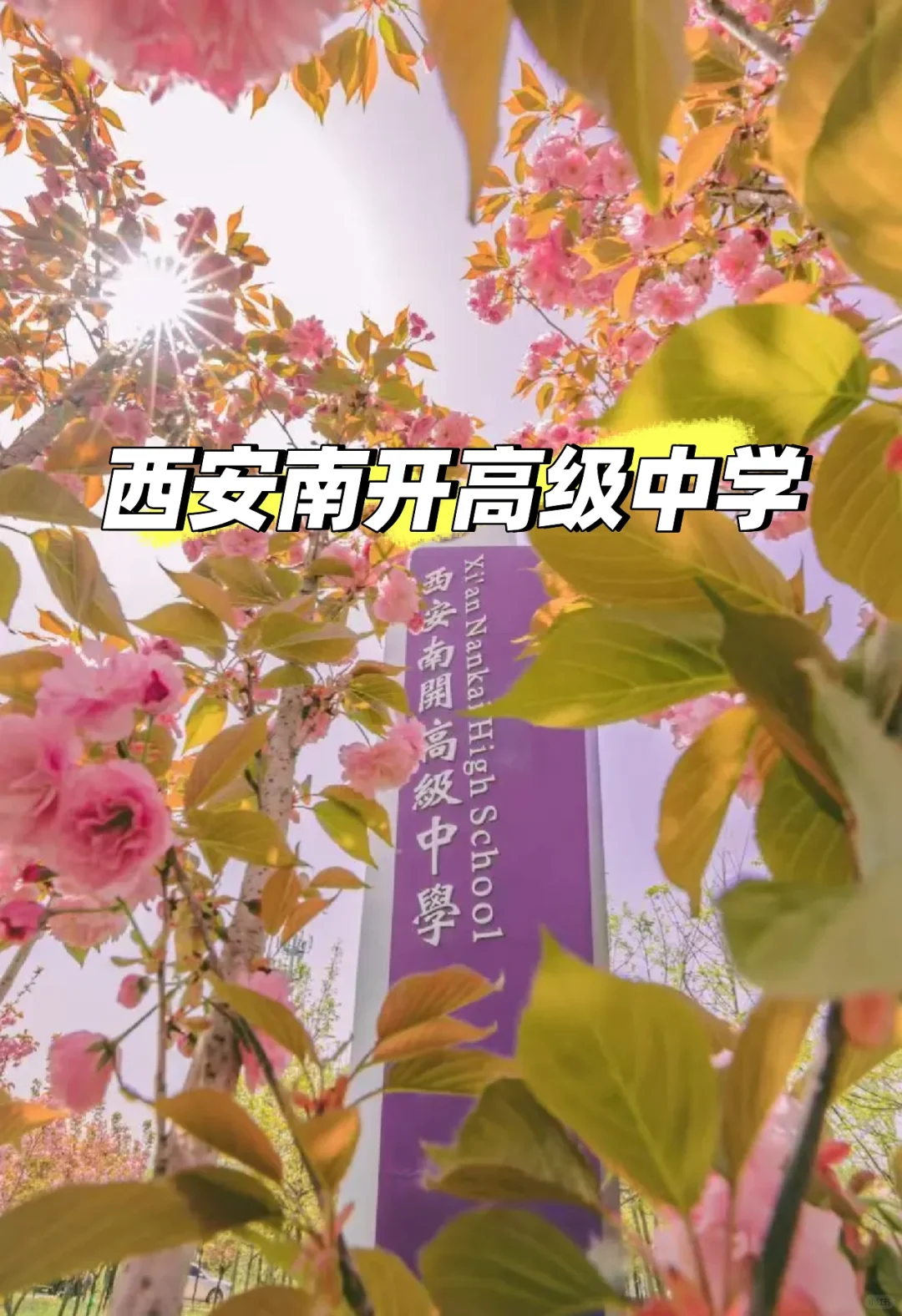 西安南开高级中学招聘啦！