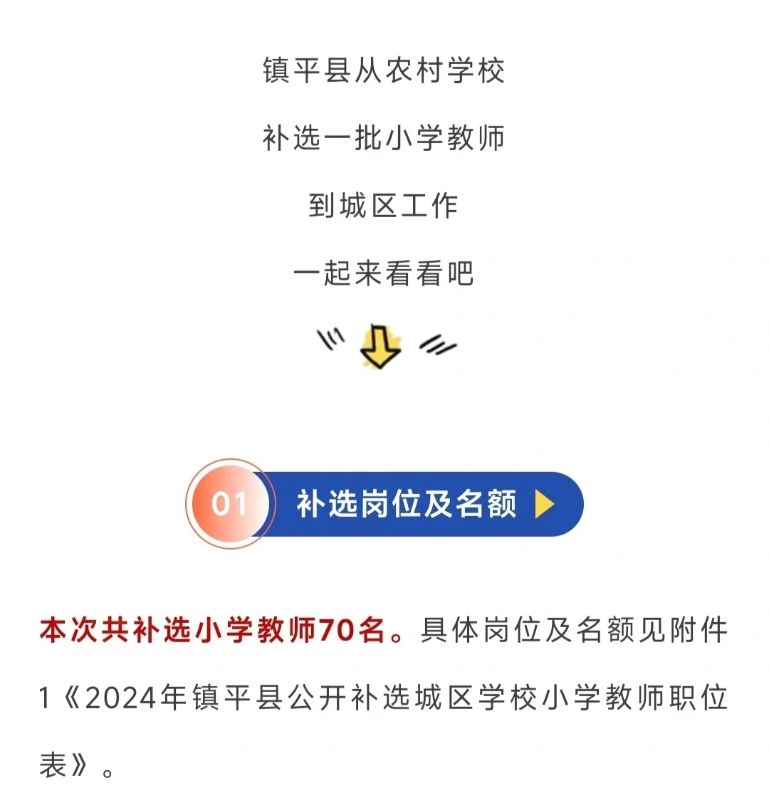 南阳一地公开补选城区学校小学教师！
