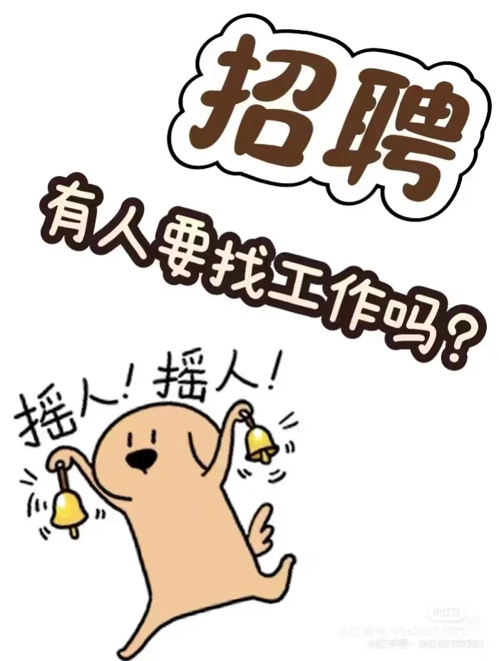 呼市招聘文员