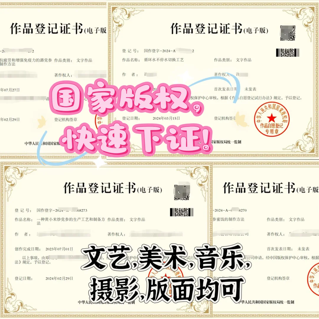 国家版权已成功下证