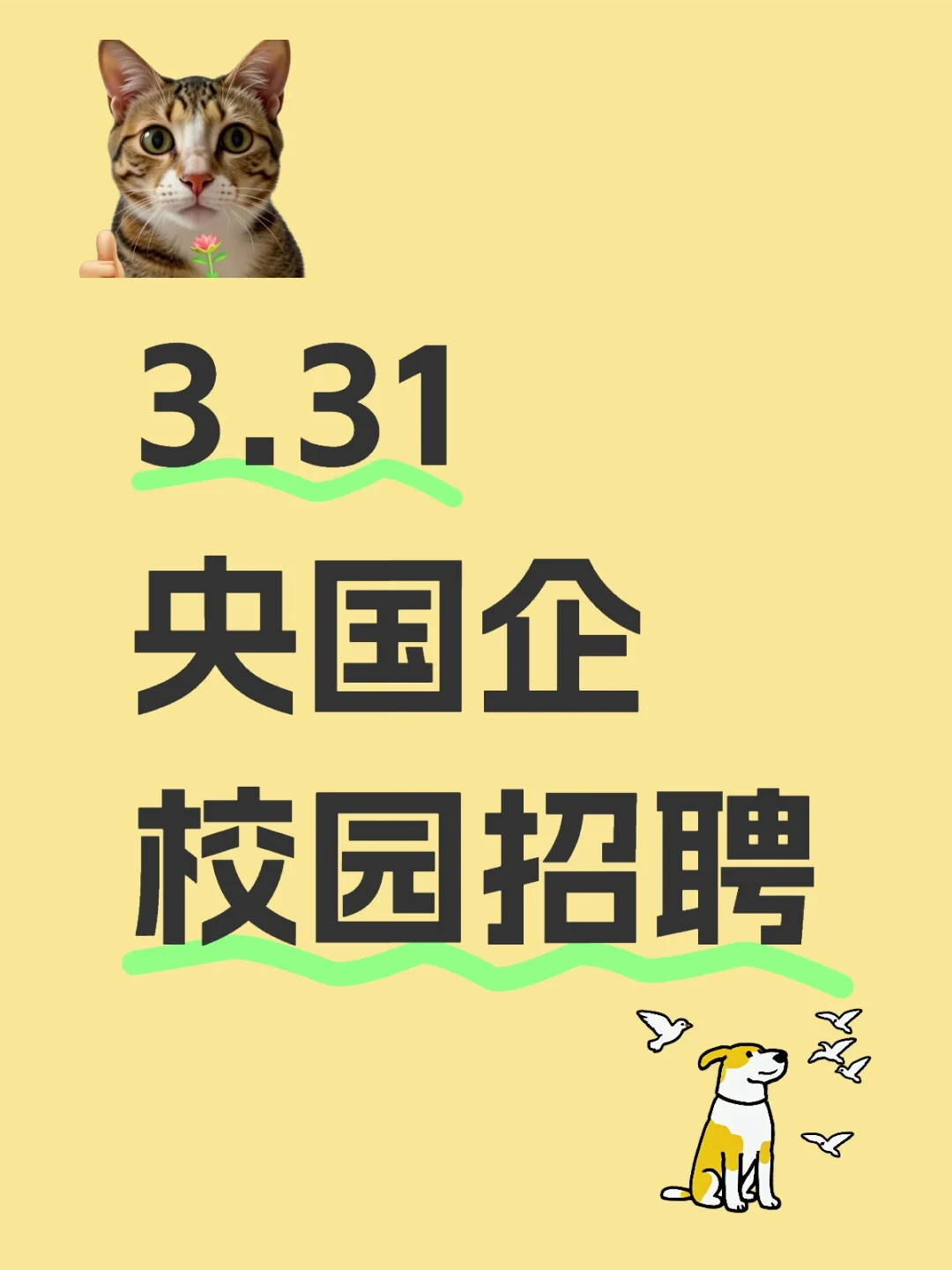3.31央国企校园招聘真的来了!
