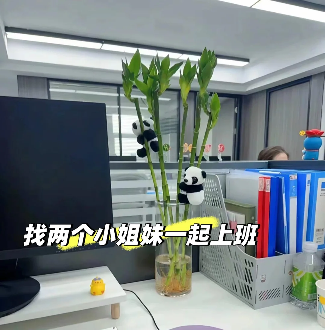 寻找上班搭子~