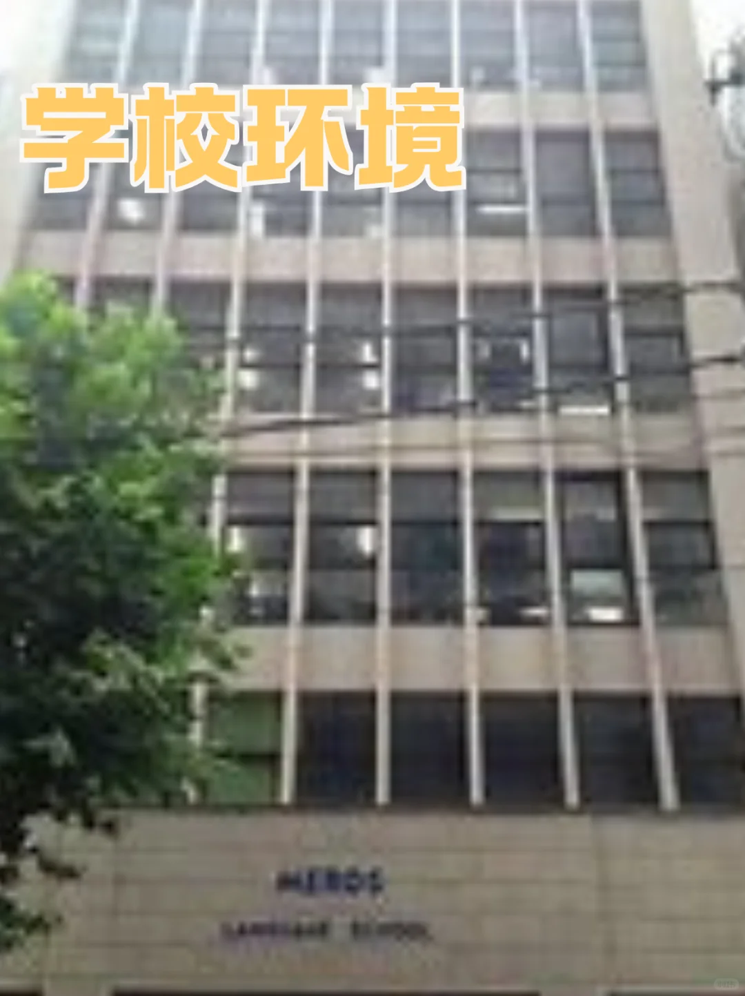 美罗斯言语学院合格喜报来喽~