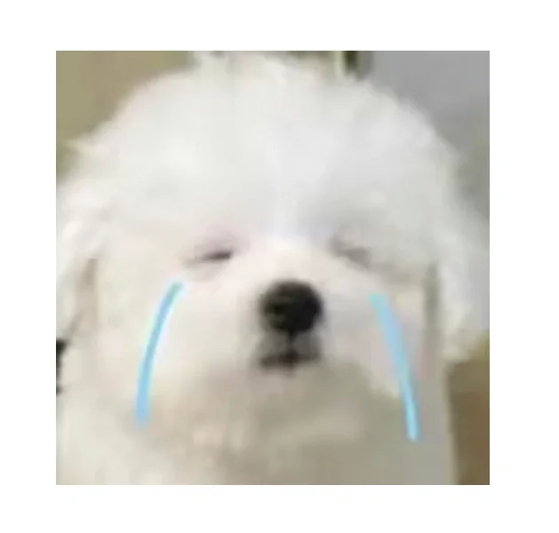 区管校聘