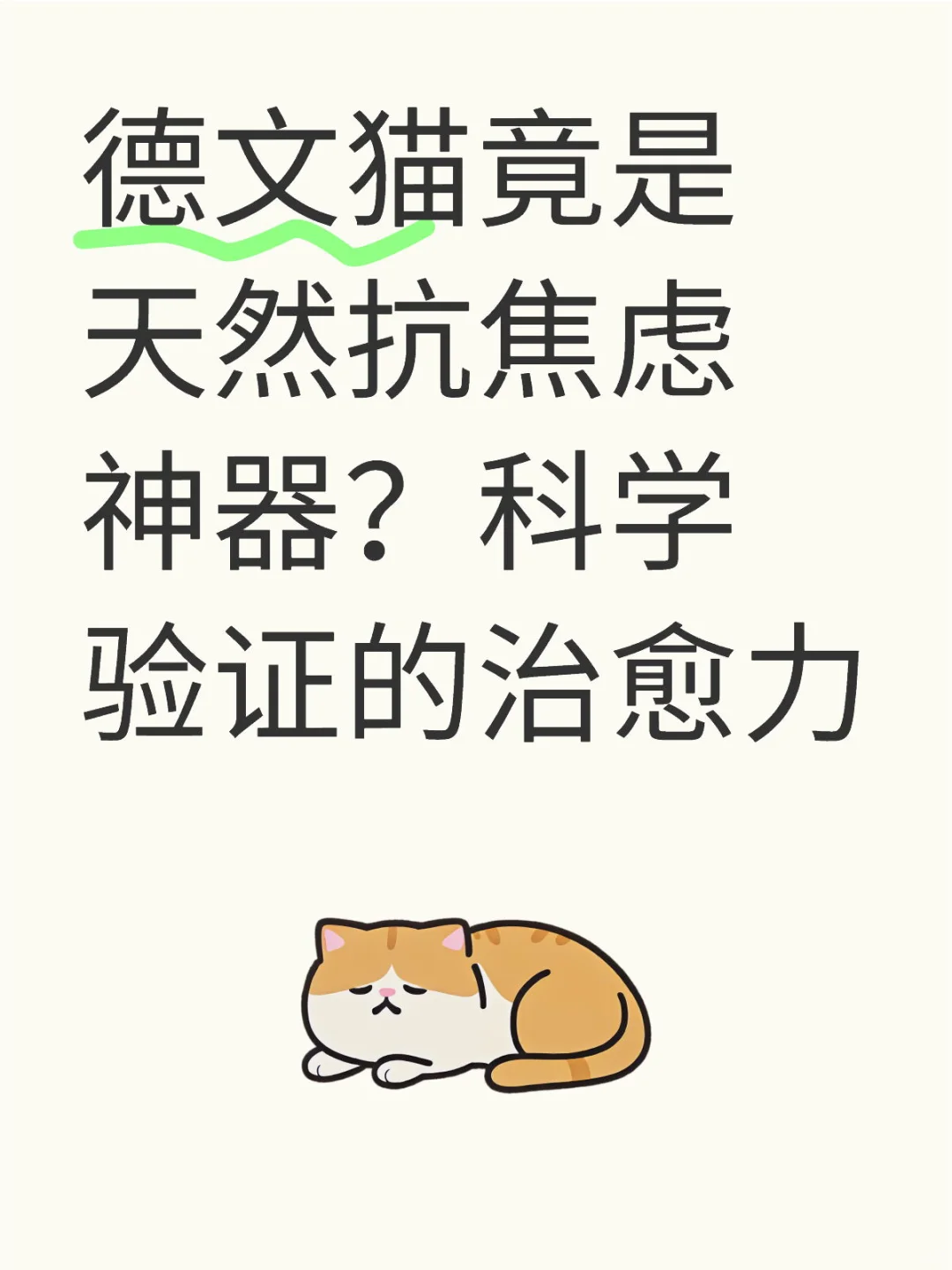 德文猫竟是天然抗焦虑神器？