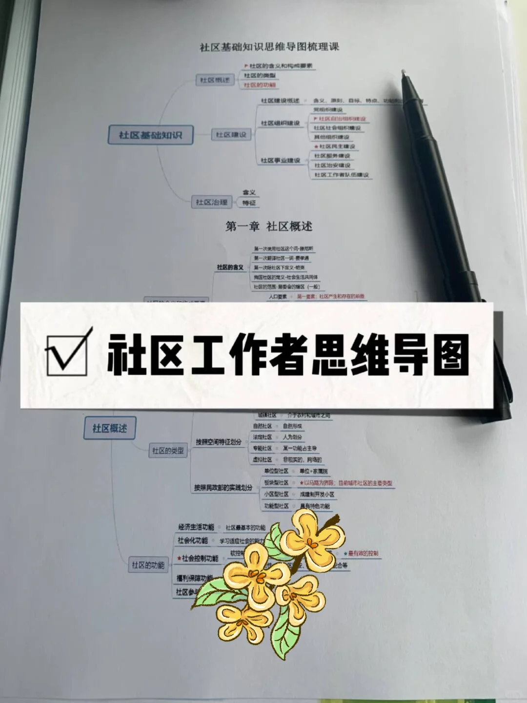 连云港海州区社区工作者，10天一次过
