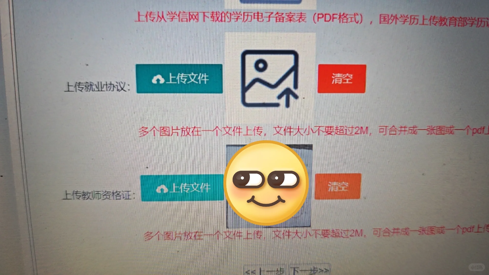 新野招教
