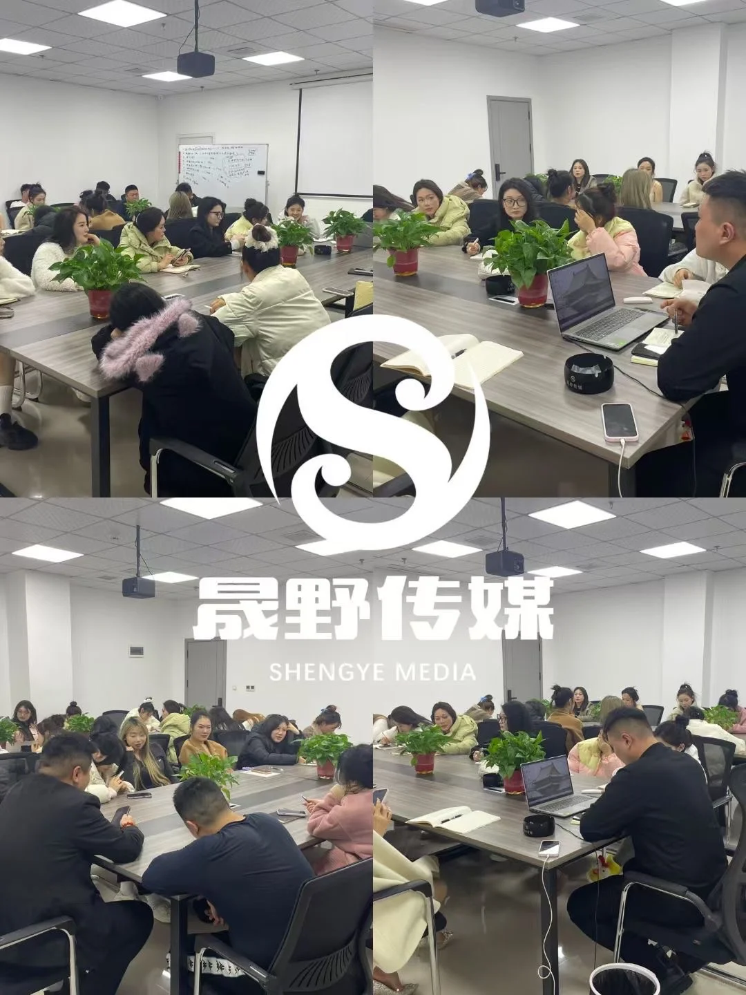 晟野传媒正式全面启动 各个岗位火热招聘中