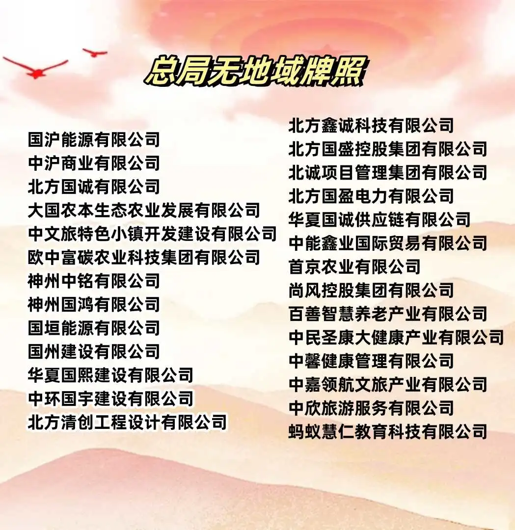 无地域公司