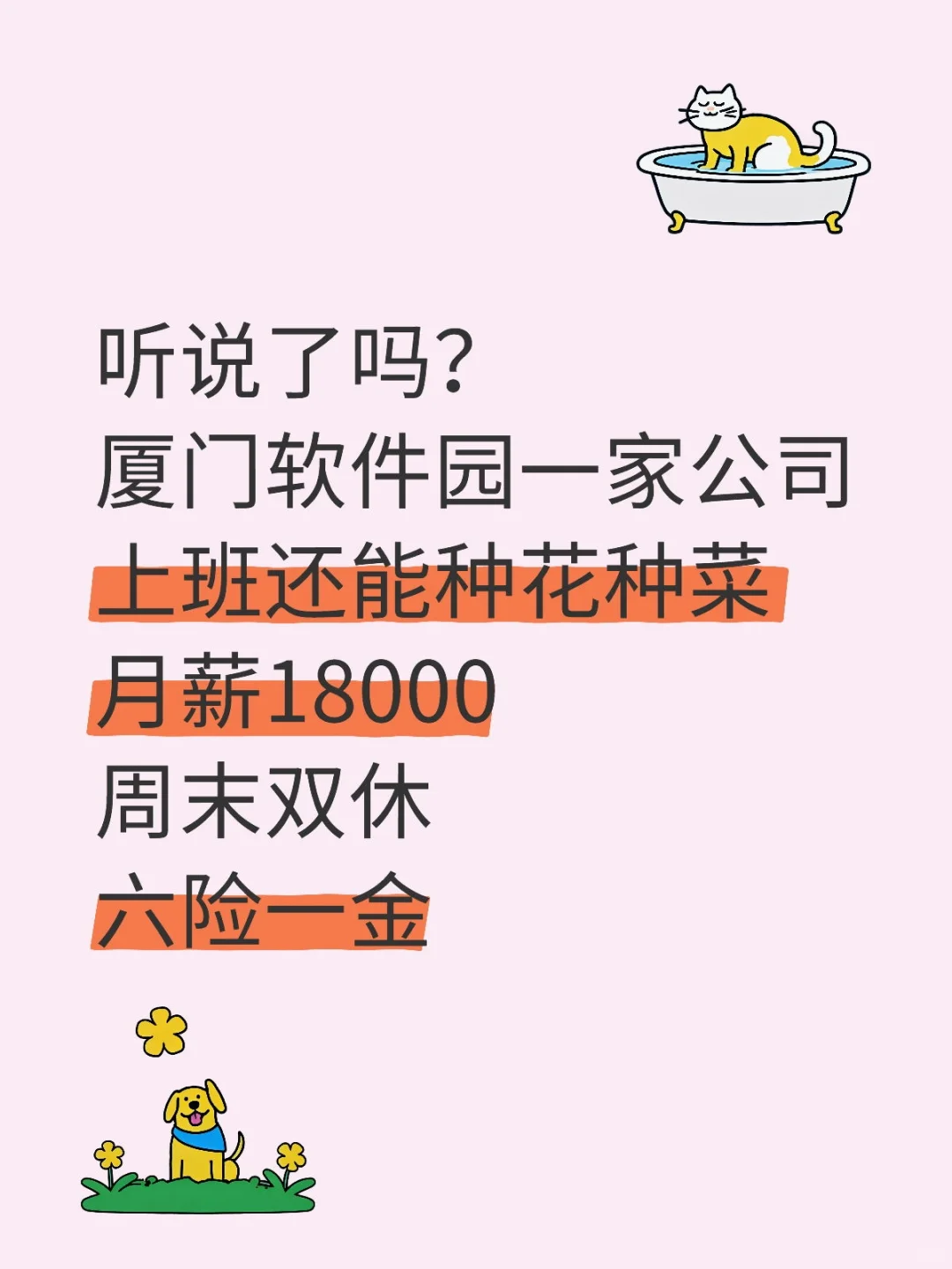 厦门求职找工作～招人～招聘销售岗位