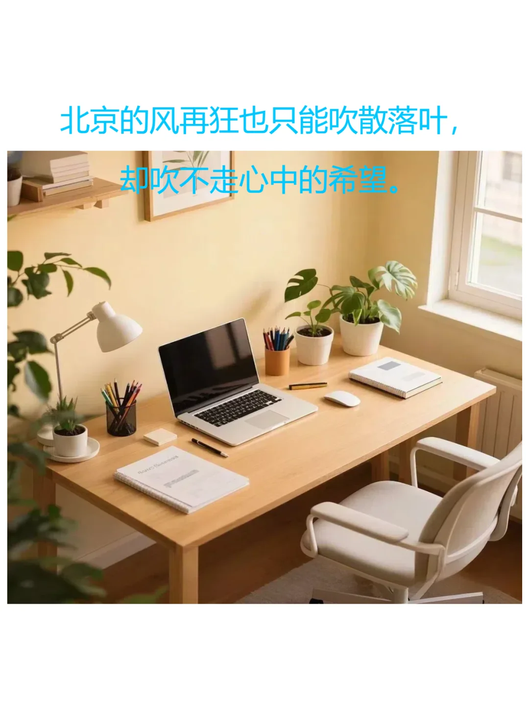 世界那么大，你总会找到工作——窗口招聘
