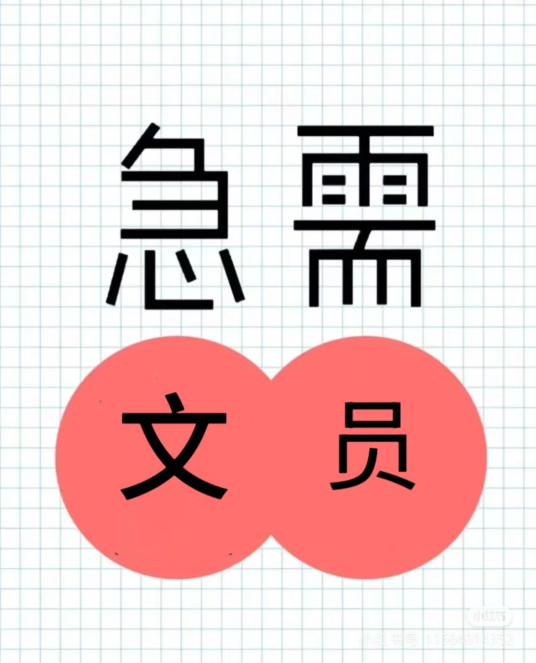 金凤区文员