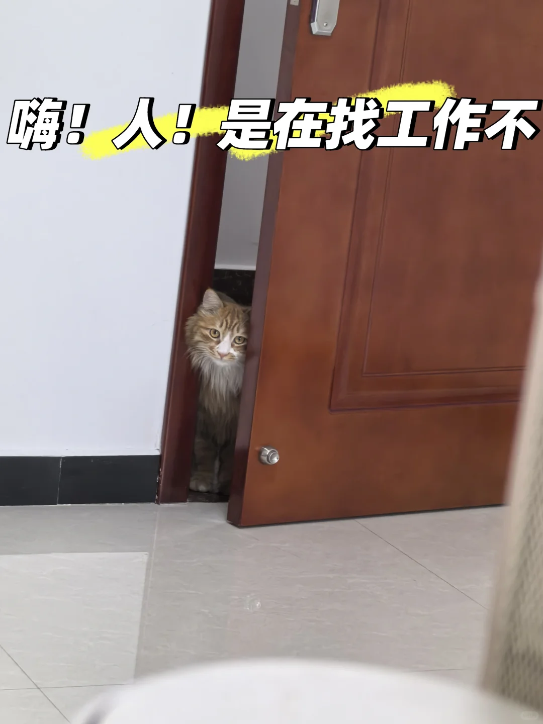 正定在找工作的姐妹看过来！！！！