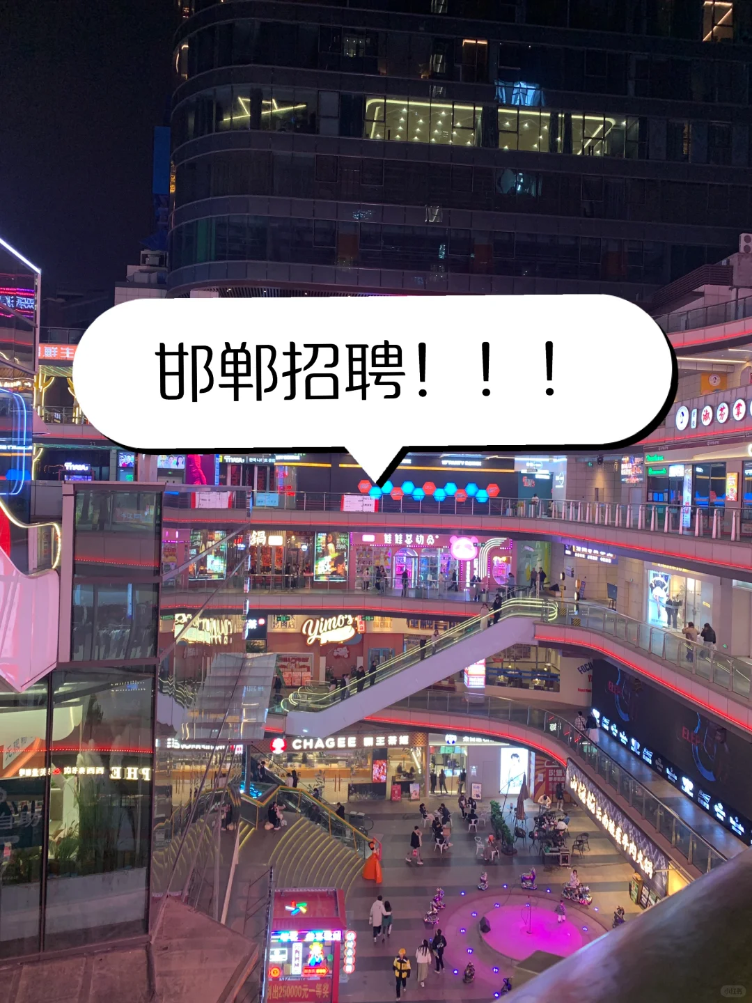单招结束该找工作了！