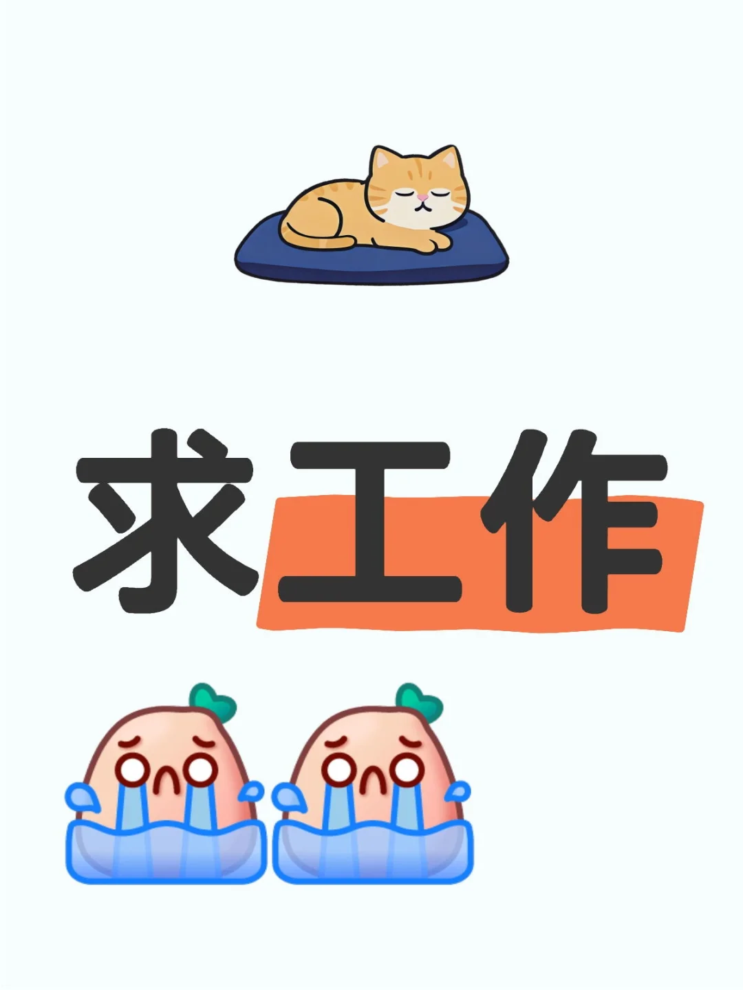 求各种工作机会，地区不限