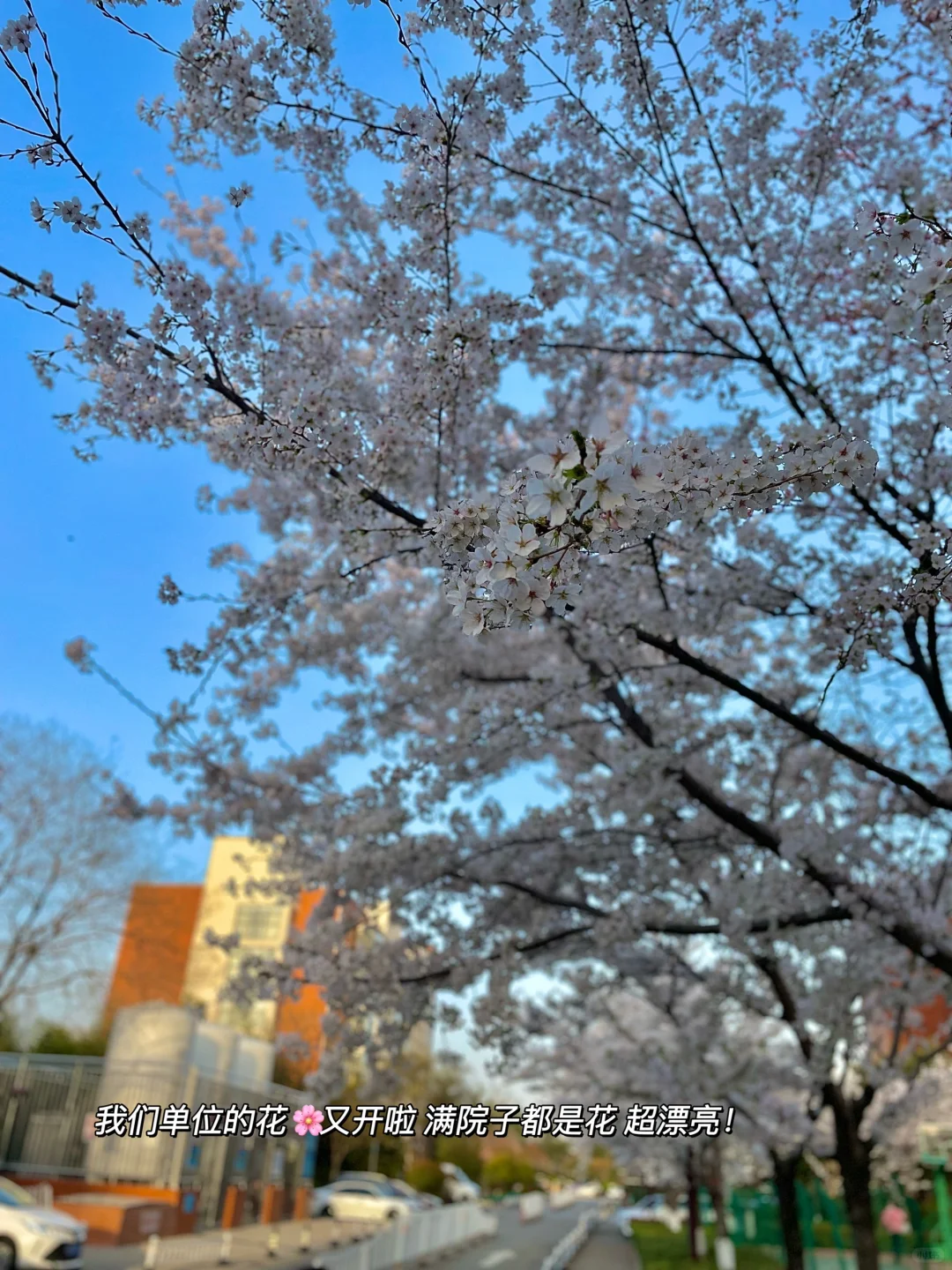 医院行政岗，太幸福了❗️3-5?️黄金准备期❗️