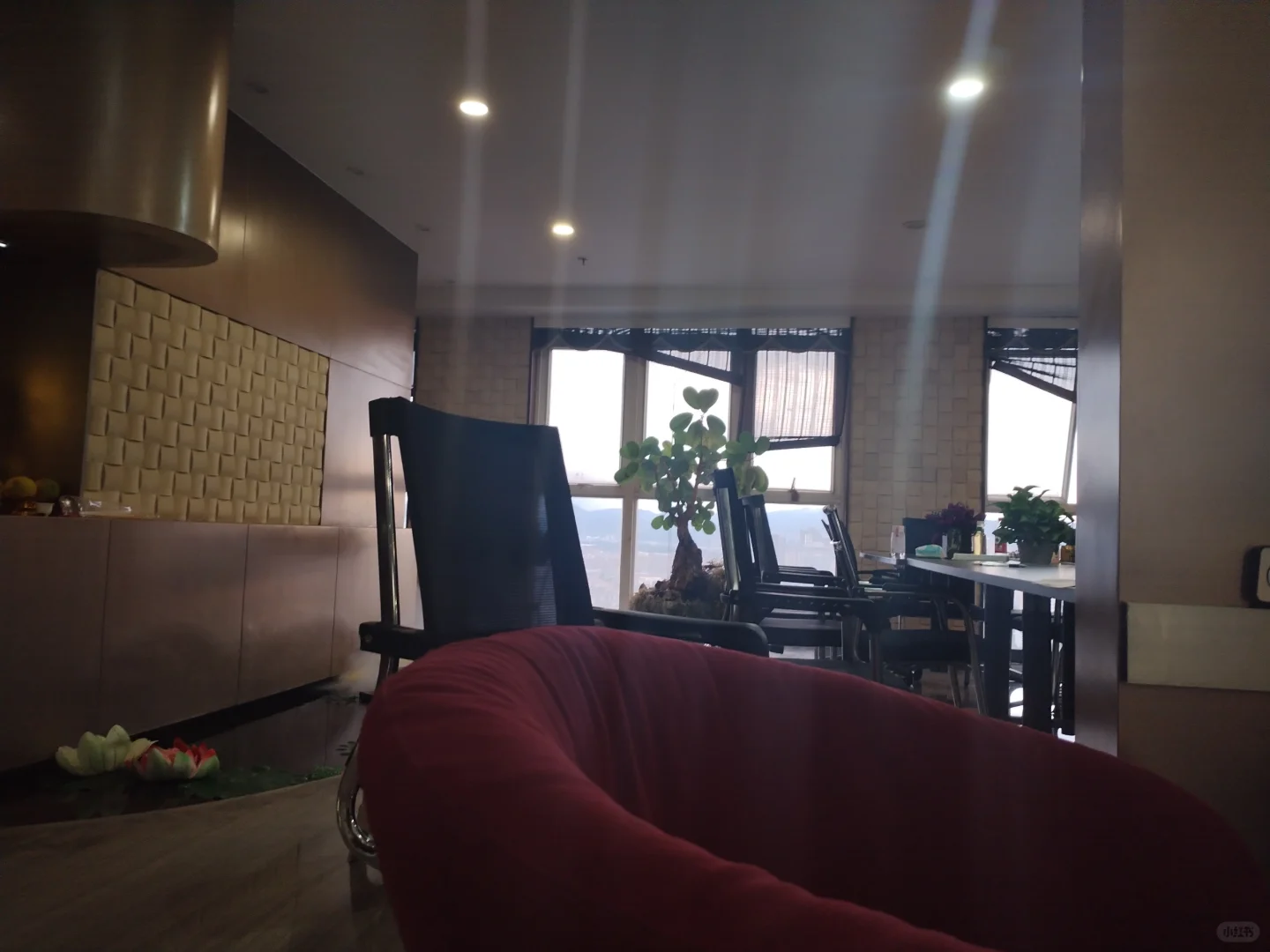 初创公司急招！！