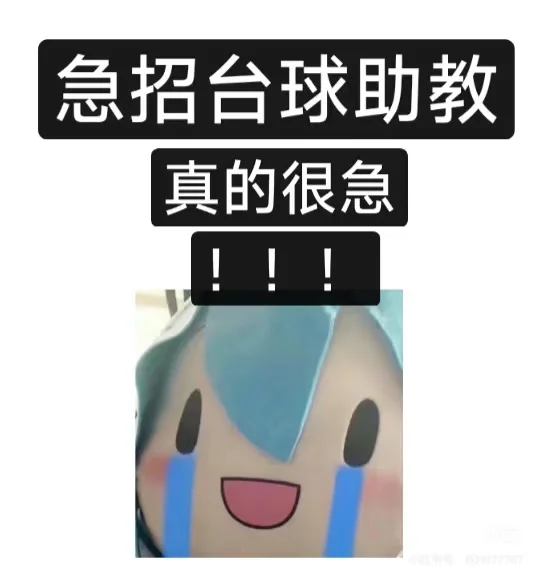 打台球真的太解压了，急招助教！