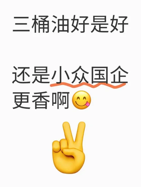 小众国企比三桶油好多了