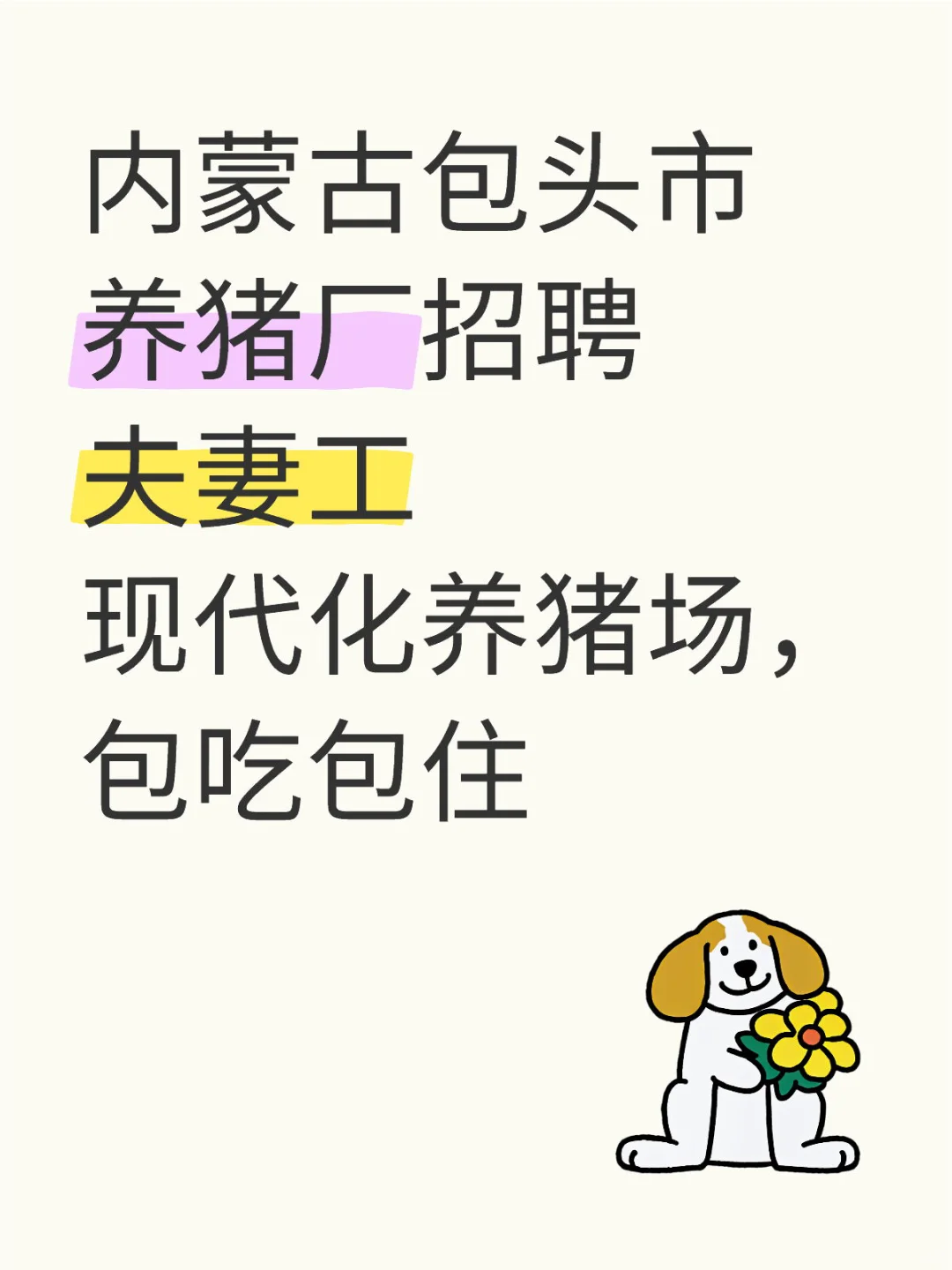 内蒙古包头市养猪厂招聘夫妻工