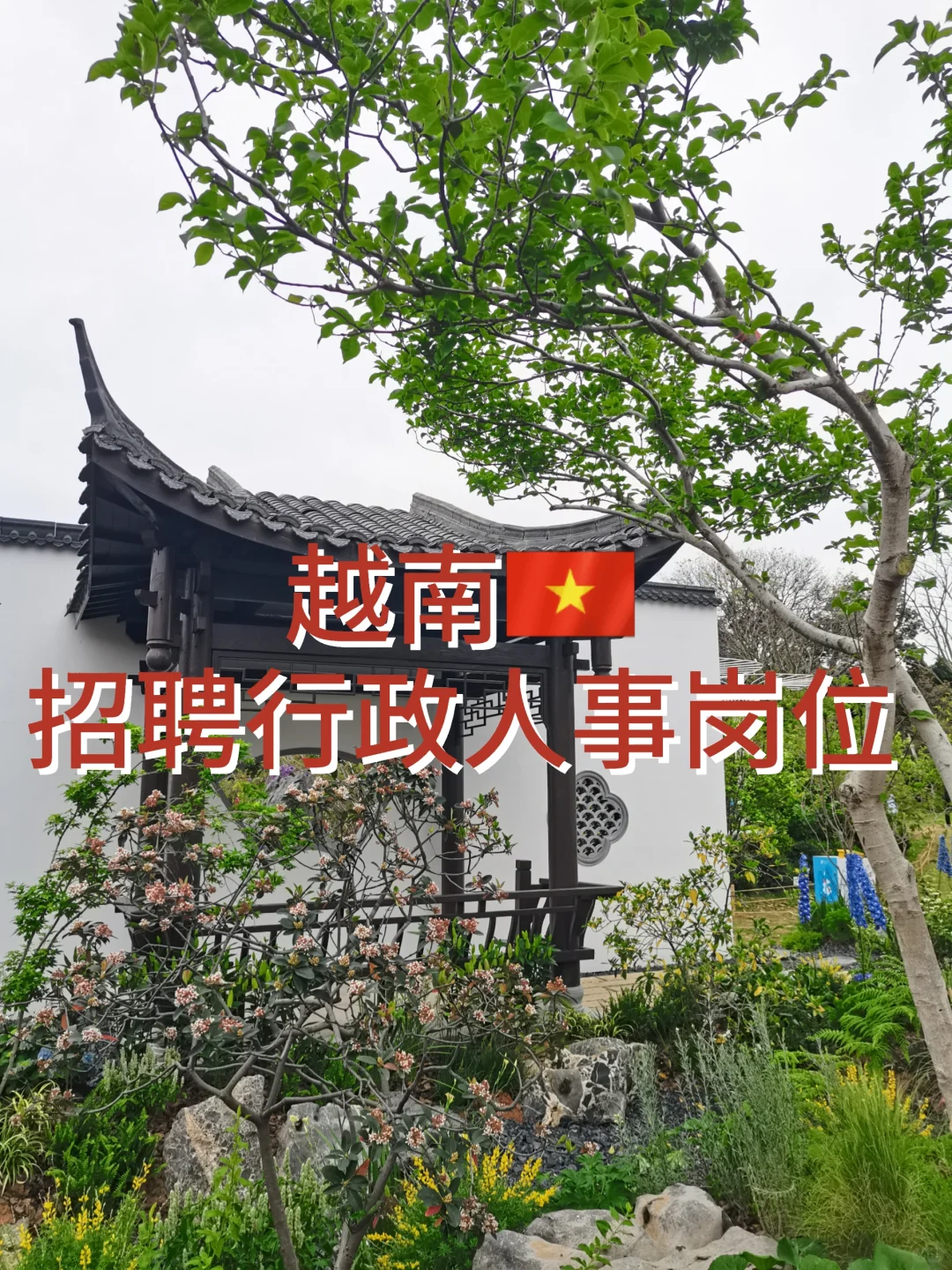 越南 招聘行政人事岗位