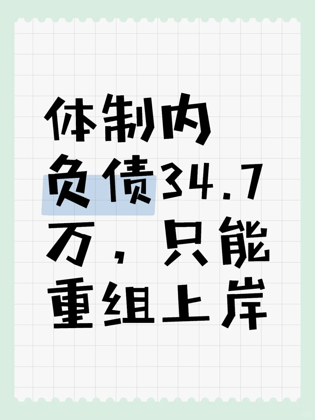 体制内负债34.7万，只能重组上岸