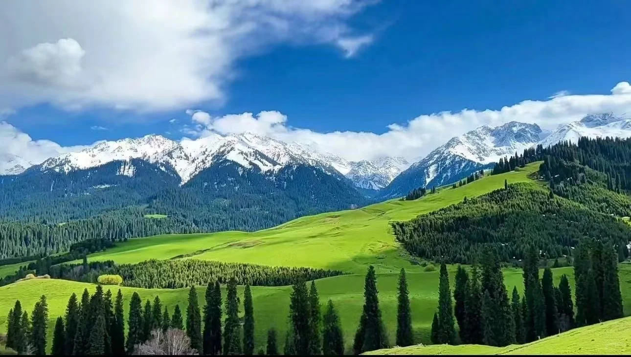? 伊犁百里画廊民宿招聘 | 5-10月短期旅居