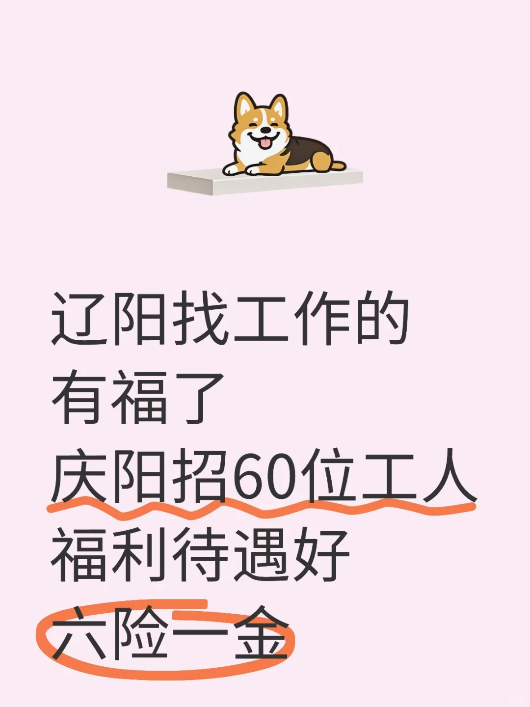 庆阳招工啦?