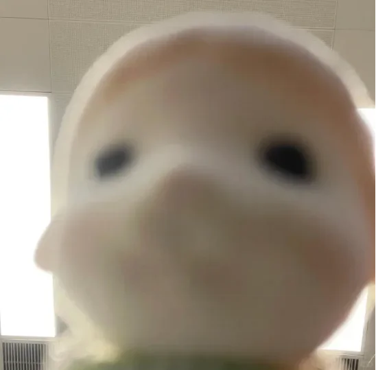 果然，外企就是撑死胆大的草包三无留学生！