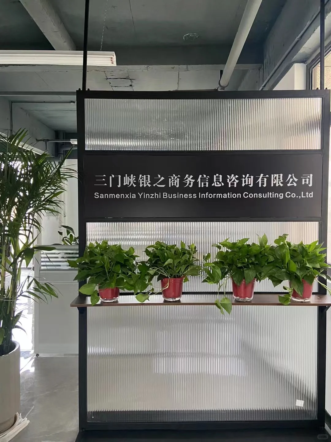 在三门峡的神仙公司～?️不是中介不是中介