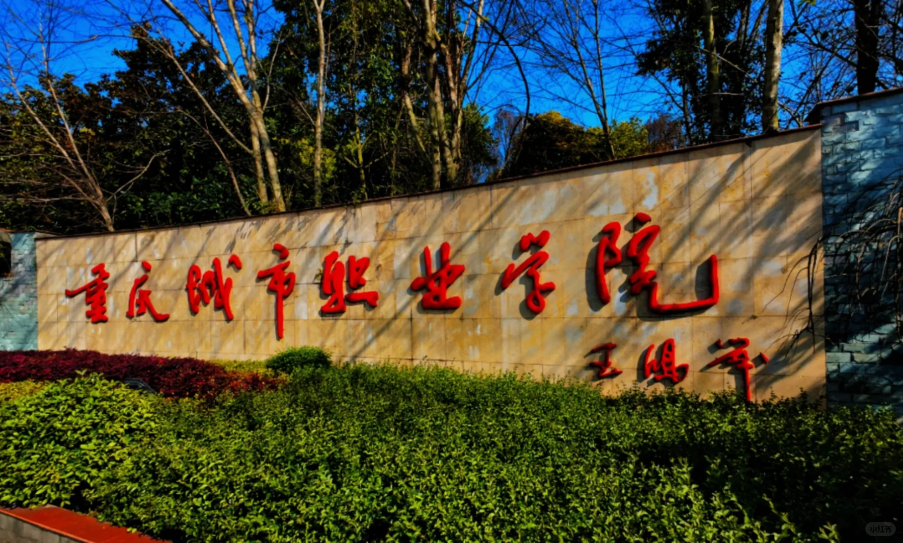 重庆城市职业学院招聘，透露点内部消息