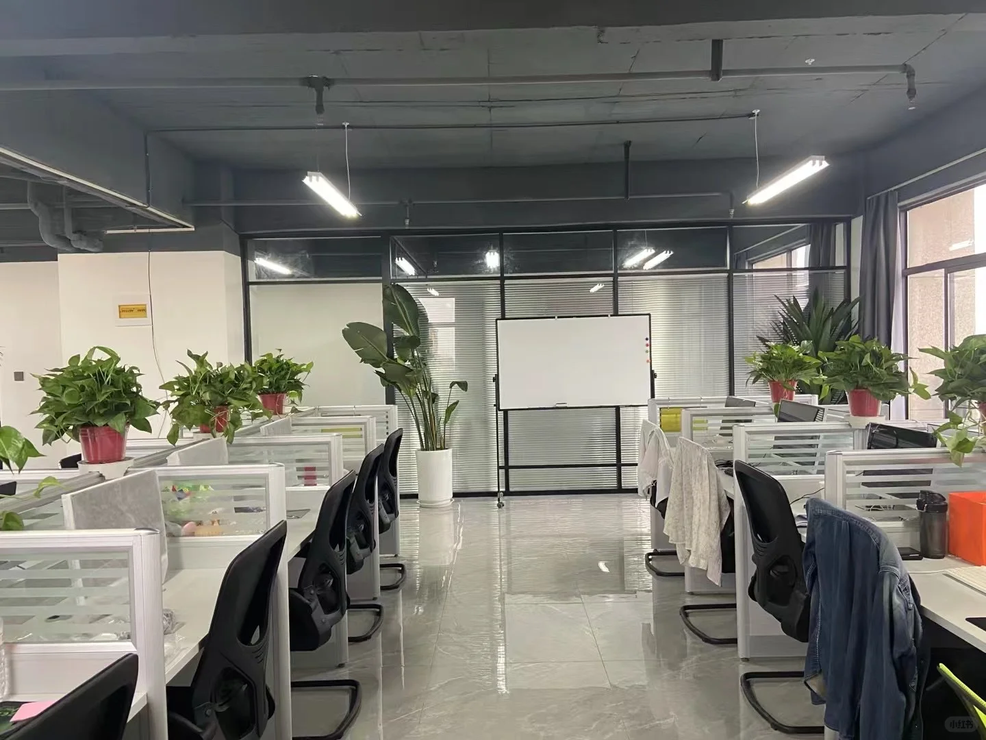 在三门峡的神仙公司～?️不是中介不是中介