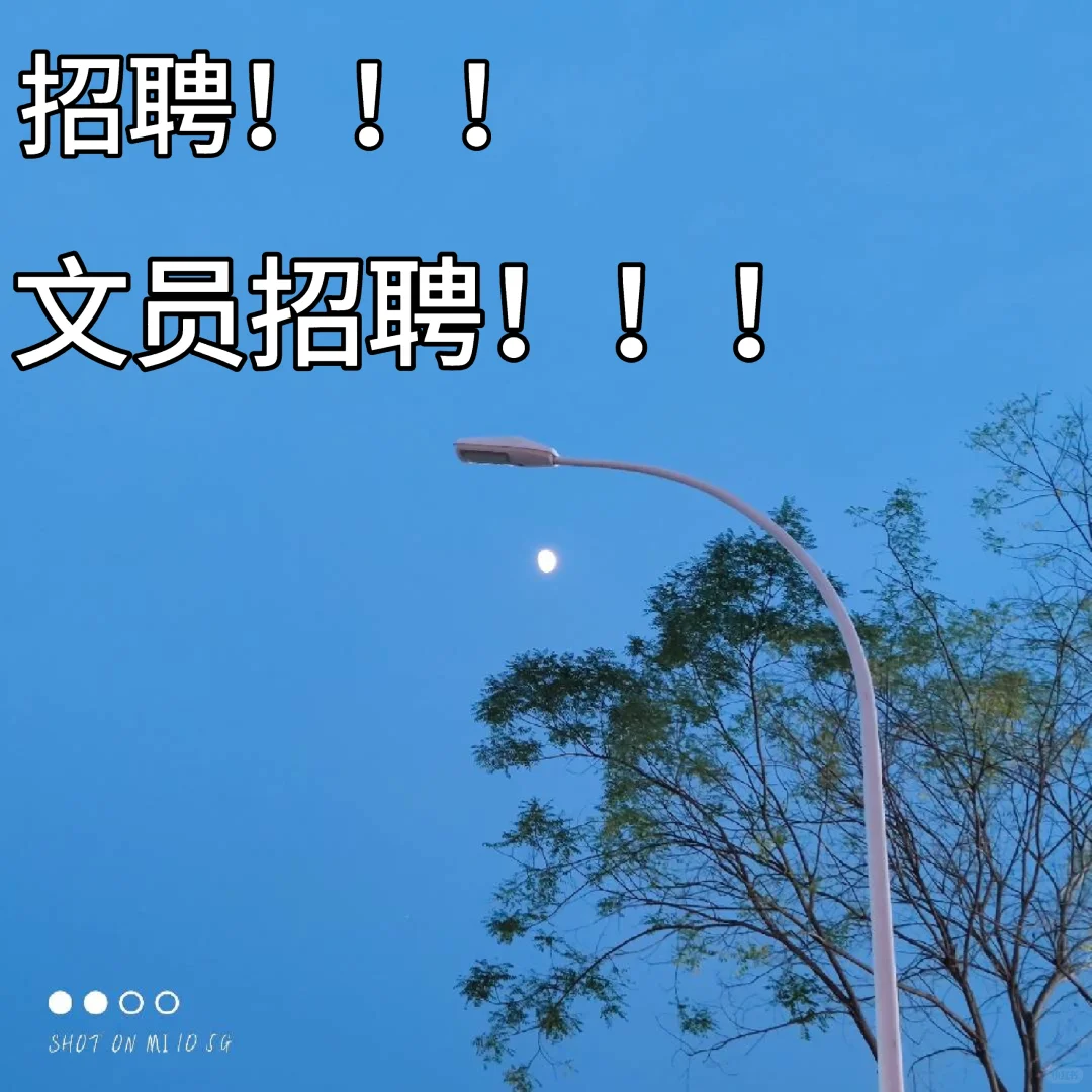 招聘！文员！