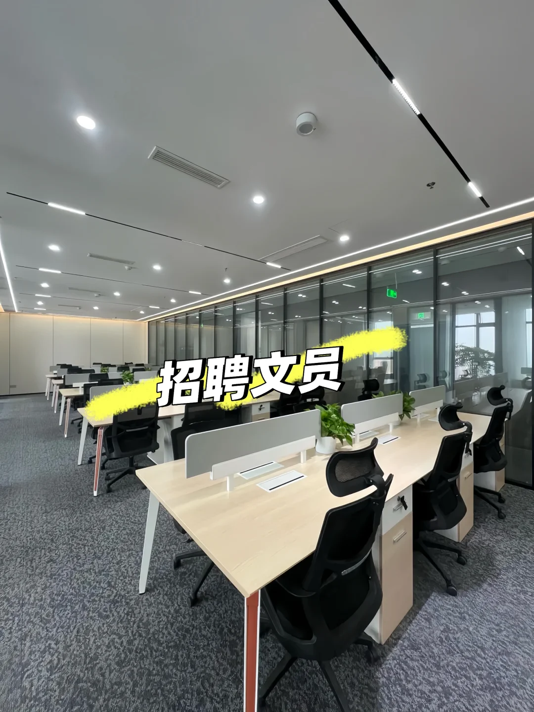 不卡学历经验，做文员太爽啦